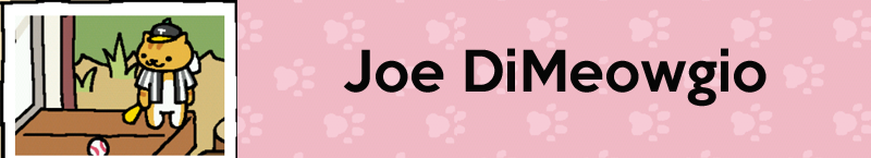Illustration for article titled Neko Atsume Cats, Ranked